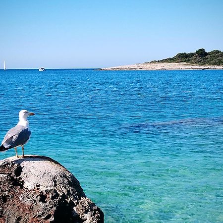 Holiday Home I.D.A. Banjole Εξωτερικό φωτογραφία