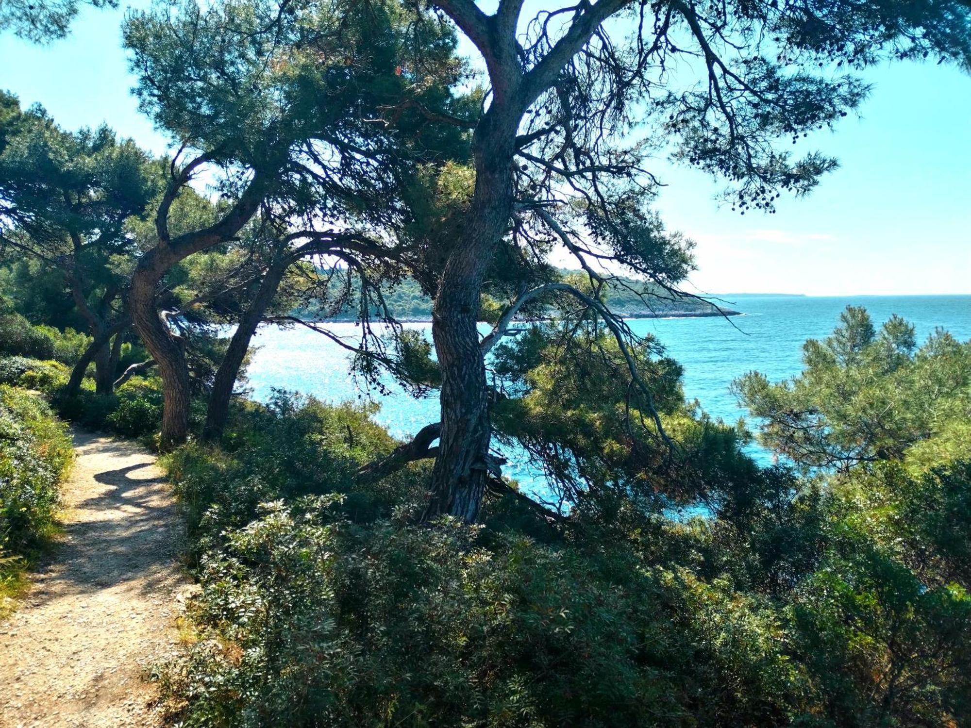 Holiday Home I.D.A. Banjole Εξωτερικό φωτογραφία